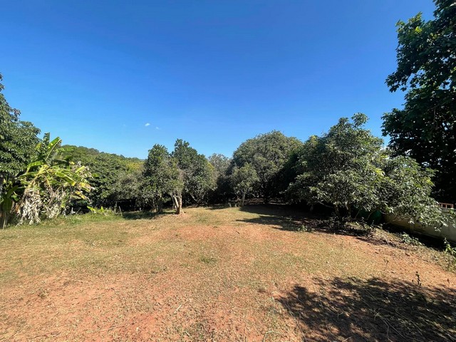 ขายที่ดินพร้อมบ้าน เจ้าของขายเอง เหมาะทำเป็นที่อยู่อาศัยหรือบ้านพักตากอากาศ  อำเภอด่านซ้าย จังหวัดเลย